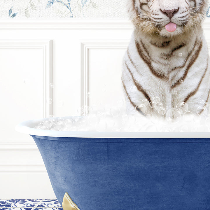 a white tiger sitting in a blue bath tub