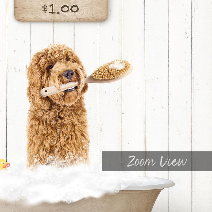 A brown curly-haired dog is sitting in a bathtub, holding a wooden brush in its mouth, with a sign above the bathtub displaying "$1.00".