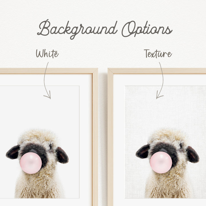 a fluffy white sheep blowing a bubble with a pink bubblegum bubble.