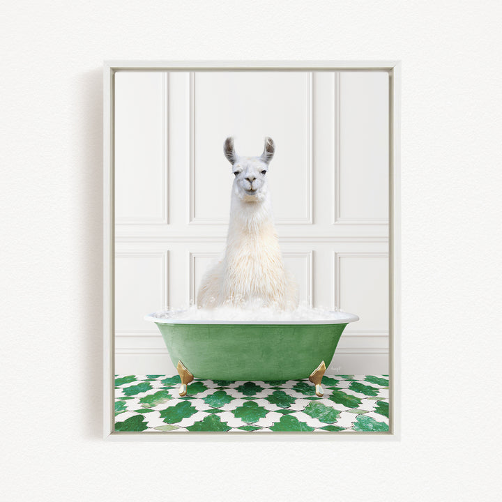 A white llama sitting in a green bathtub filled with bubbles, with a patterned green and white rug on the floor.