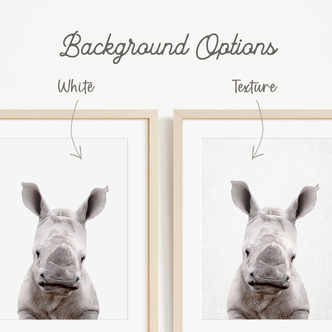 a close-up of a rhinoceros's face, with two framed pictures side by side. The text above the images indicates that there are two different backgrounds available, with one being white and the other being a different texture.