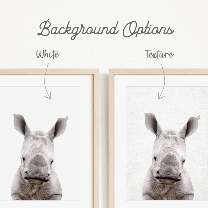 a close-up of a rhinoceros's face, with two framed pictures side by side. The text above the images indicates that there are two different backgrounds available, with one being white and the other being a different texture.