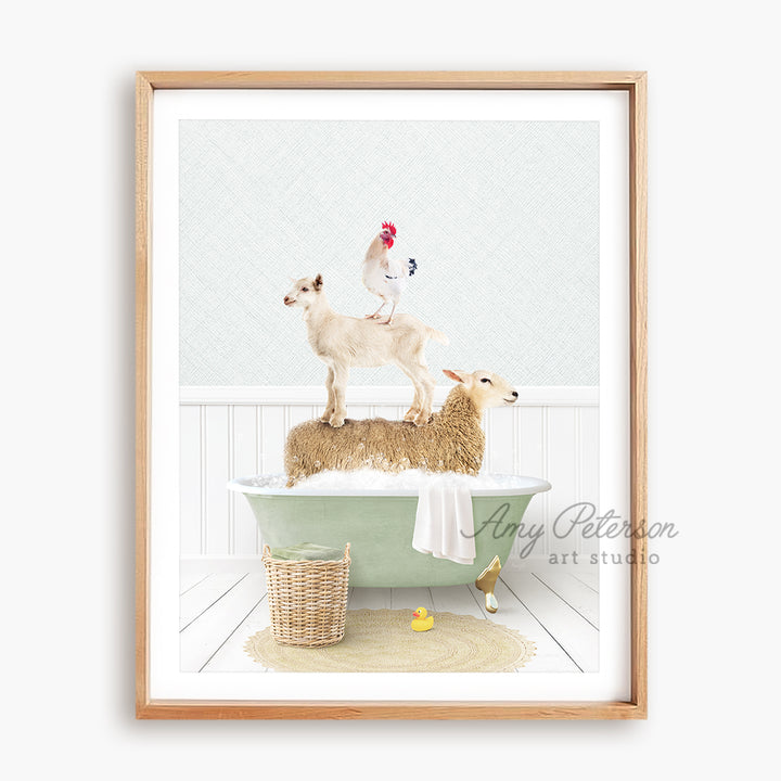 a picture of a chicken and two sheep in a bathtub