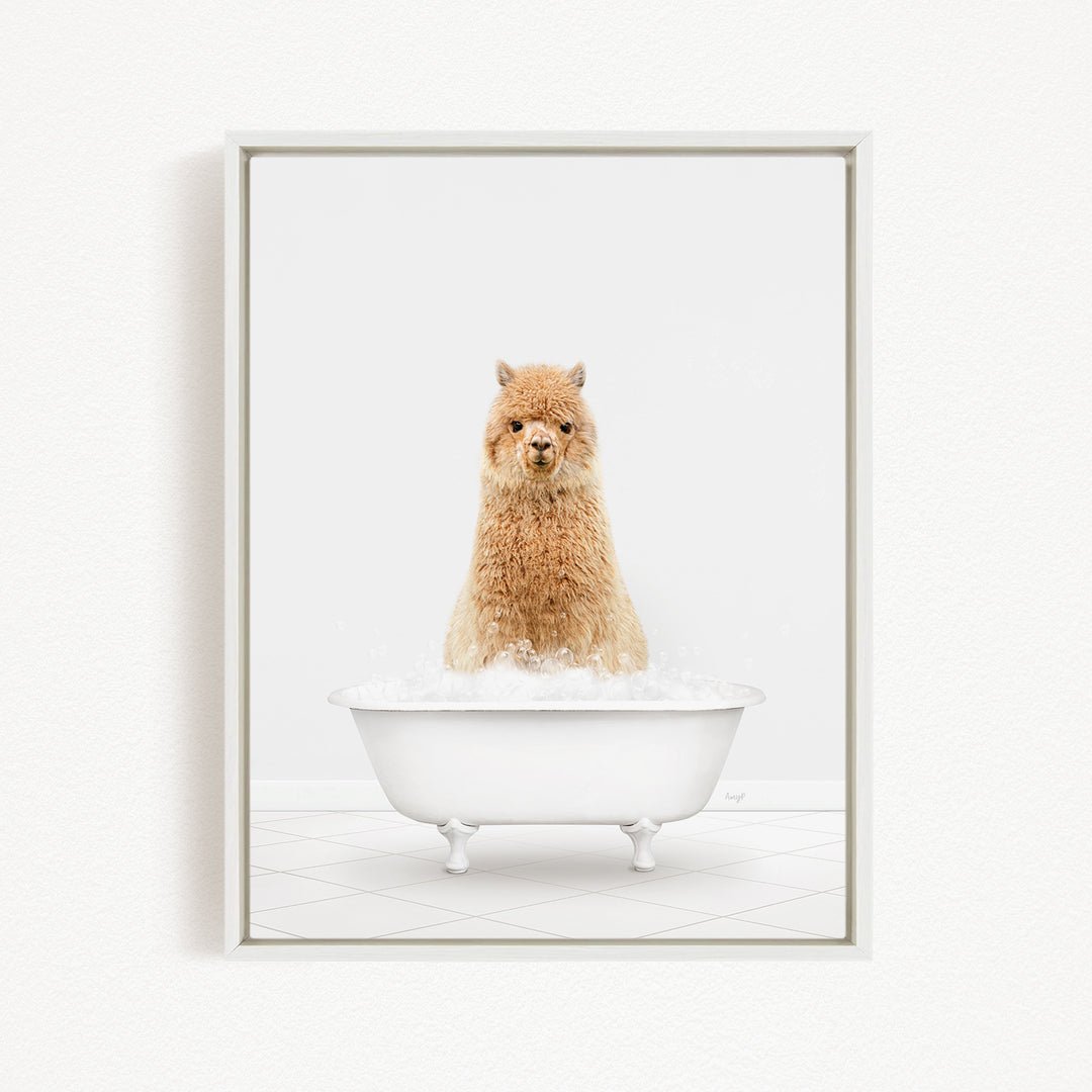 A fluffy brown alpaca sitting in a white bathtub filled with bubbles, looking directly at the camera.