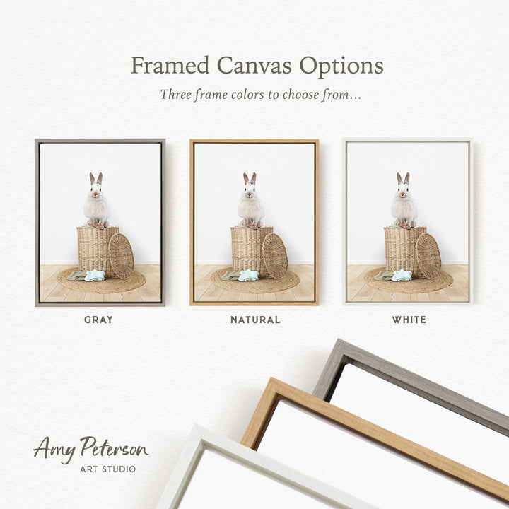 three framed canvas options, each featuring a different color: gray, natural, and white. The text above the images reads " framed Canvas Options" and "Three frame colors to choose from...". The bottom of the image includes the text " Amy Peterson ART STUDIO".