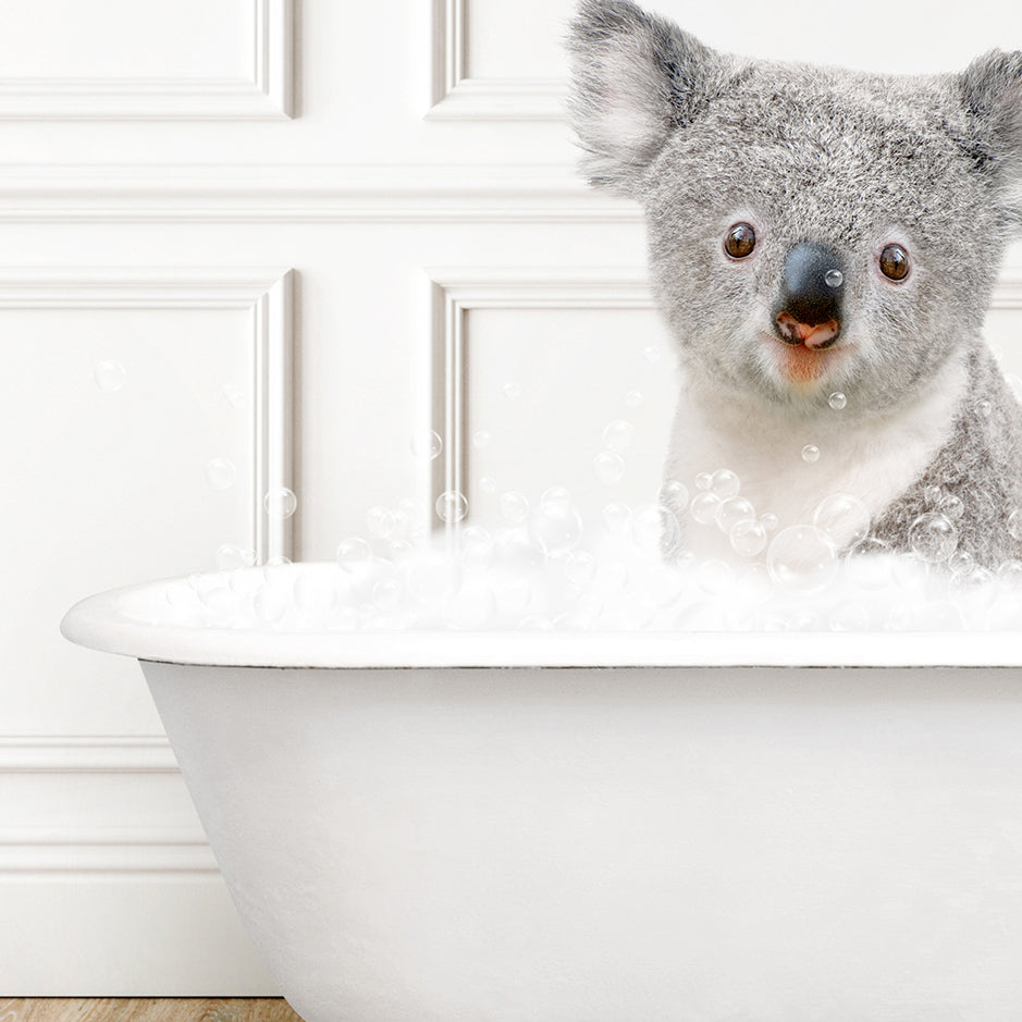 a koala is sitting in a bathtub full of bubbles