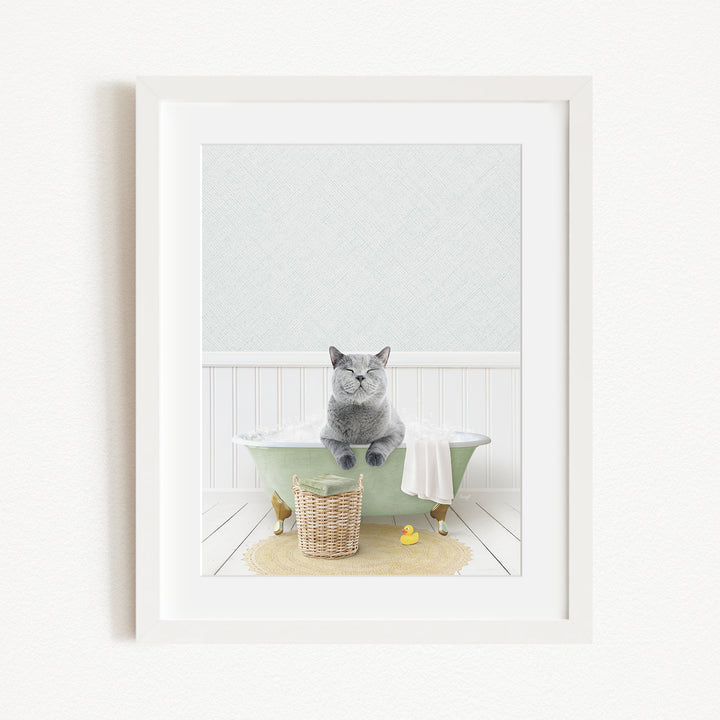 A gray cat sitting on the edge of a green bathtub, with a basket of rubber ducks nearby.