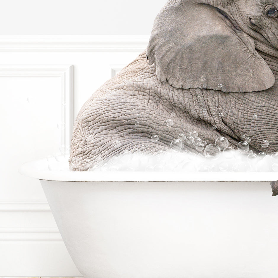 a baby elephant sitting in a bath tub