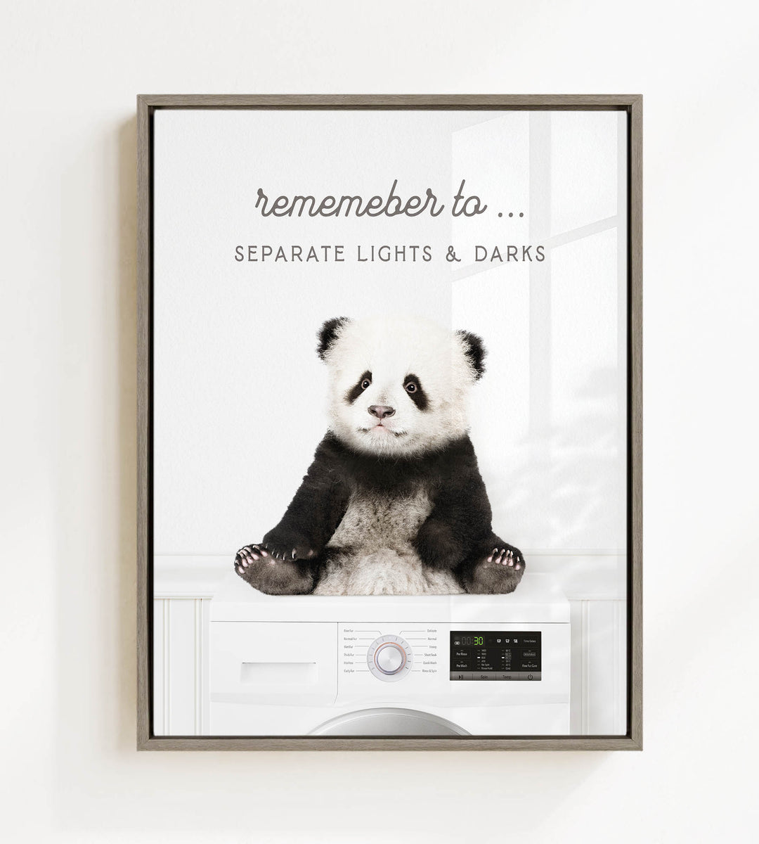A panda bear sitting on a washing machine, with the text "Remember to separate lights & darks" displayed above the image.