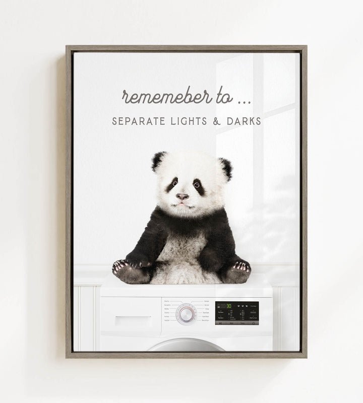 A panda bear sitting on a washing machine, with the text "Remember to separate lights & darks" displayed above the image.