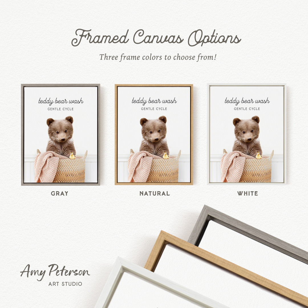 The image is a framed canvas option featuring three different colored frames with a teddy bear in each frame. The text above the image reads " Framed Canvas Options" and below the image, it says "Three frame colors to choose from!". The text at the bottom of the image says " Amy Peterson ART STUDIO".