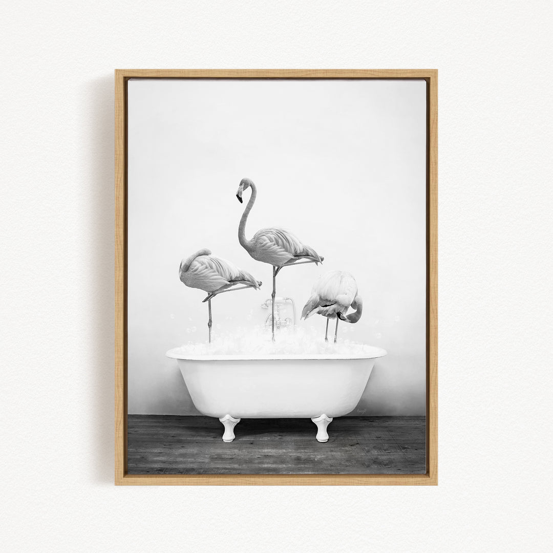 A black and white photograph of three flamingos standing in a white bathtub filled with water.