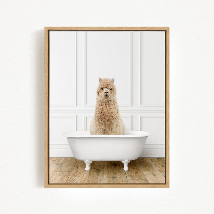 Alpaca in Traditional Panel Bath Style