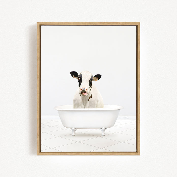 Holstein Cow in Neutral Bath