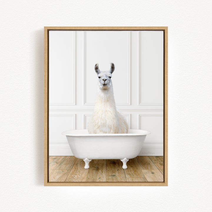 Llama in Traditional Panel Bath Style