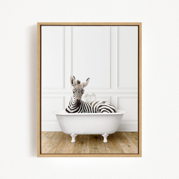 Baby Zebra in Traditional Panel Bath Style