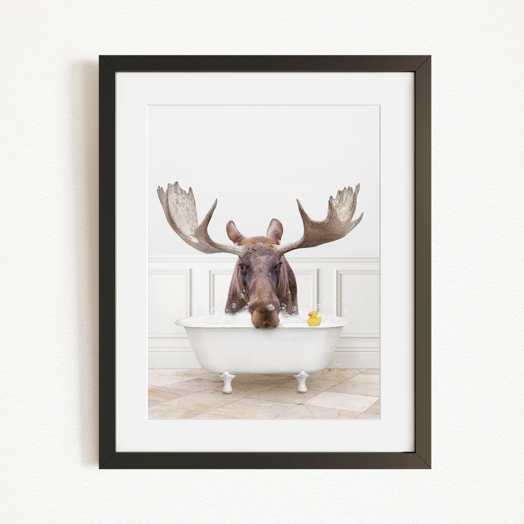 A moose with large antlers is sitting in a white bathtub, with a yellow rubber duck floating in the water.