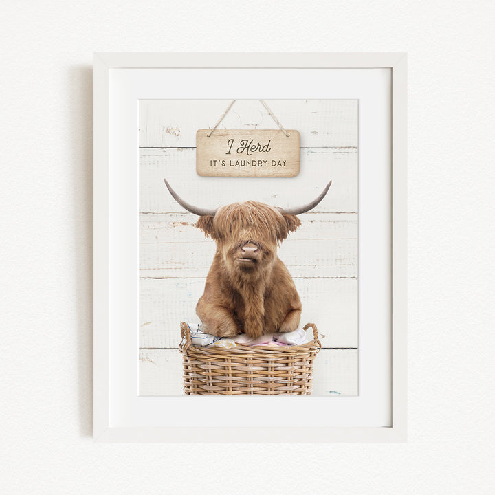 A framed image of a Highland cow sitting in a wicker basket, with a sign above it that says "I herd it's laundry day".
