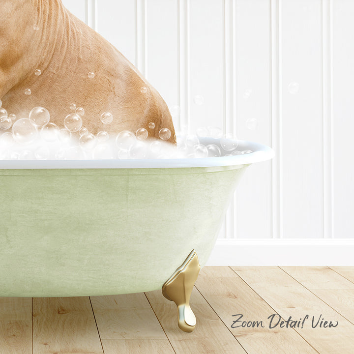 A dog is taking a bath in a green bathtub, surrounded by bubbles, with a white wall in the background.
