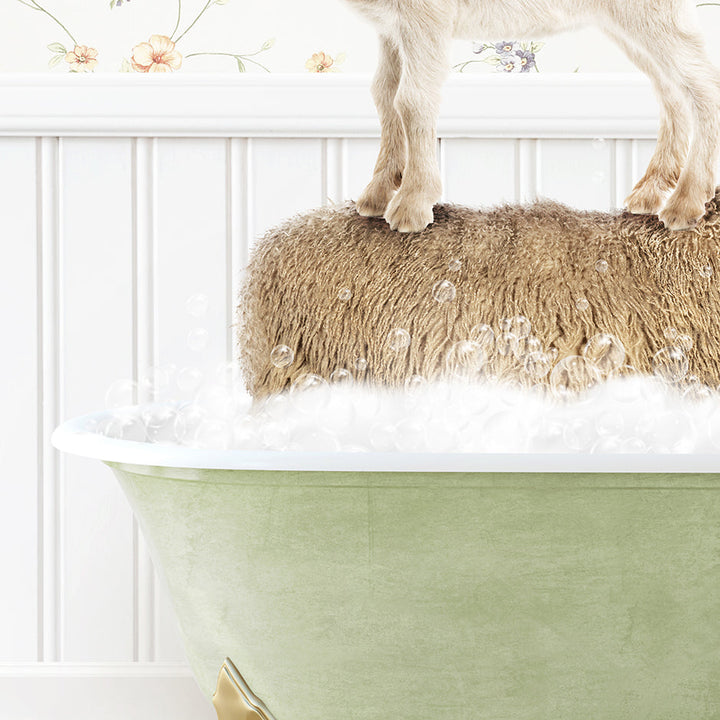 a dog standing on top of a sheep in a bathtub