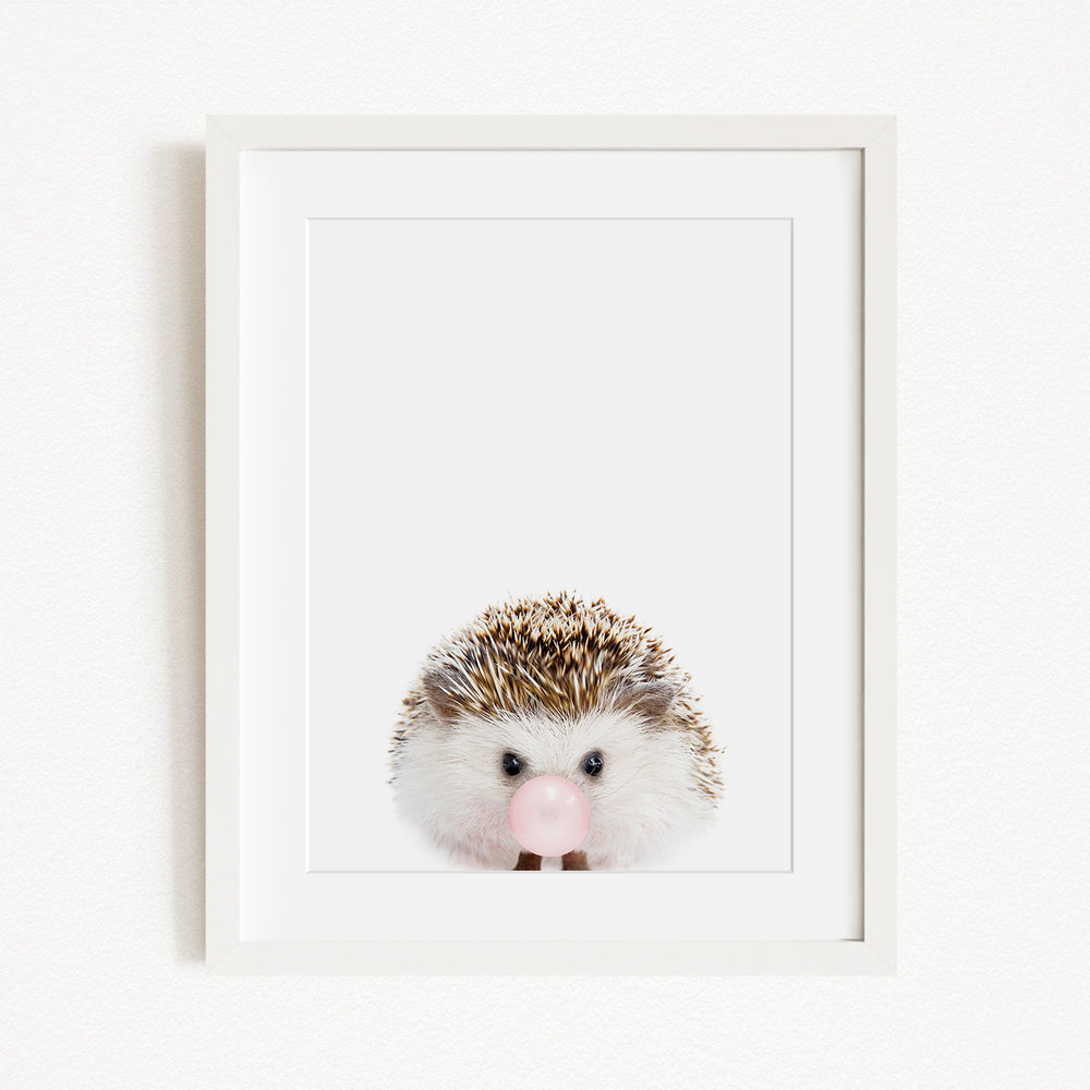 A cute hedgehog with a pink bubblegum bubble in its mouth, looking directly at the camera.