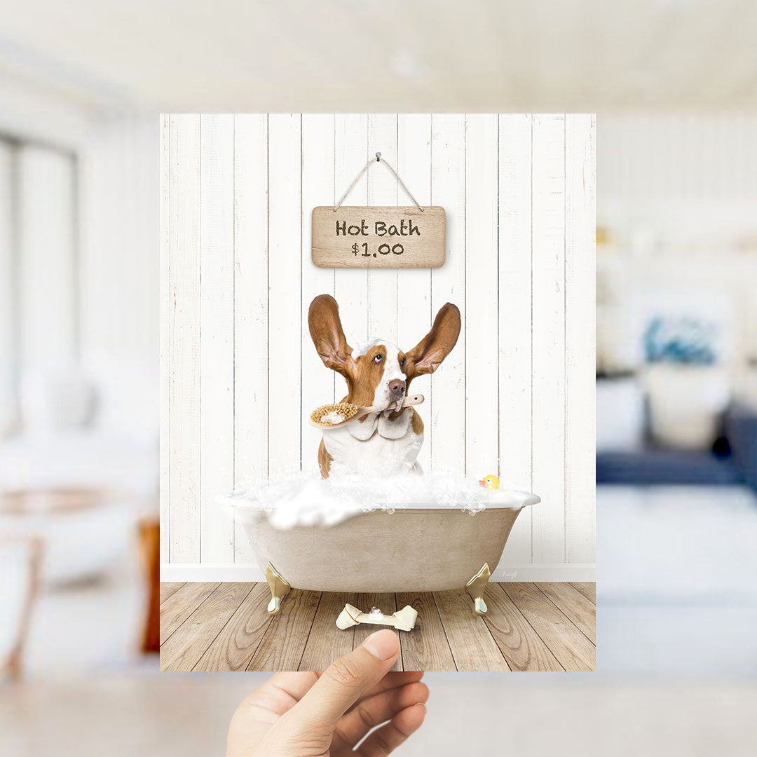 A brown and white dog sitting in a bathtub filled with bubbles, with a sign above the tub that says "Hot Bath $1.00".