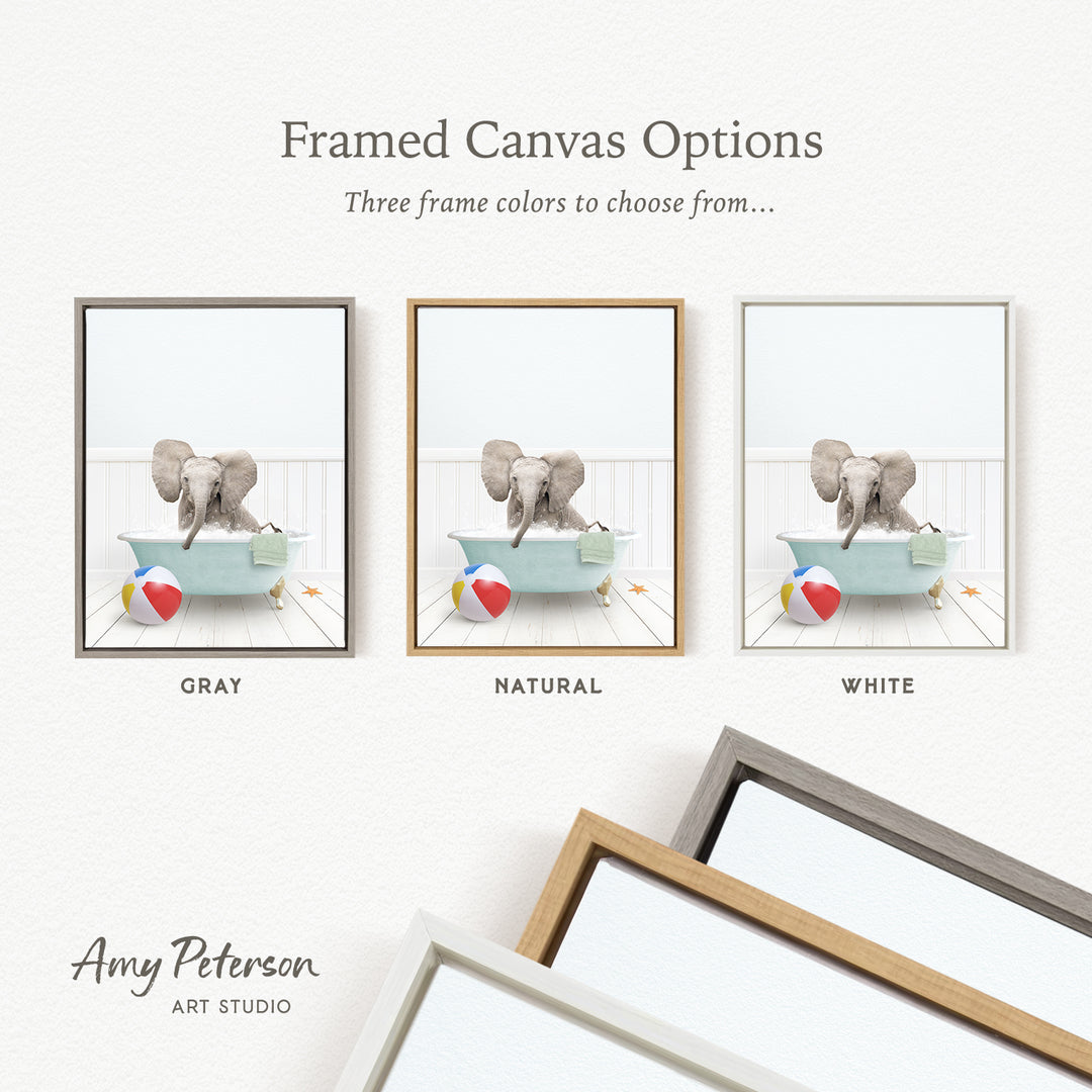three framed canvas options, each featuring a different color: gray, natural, and white. The text above the images reads " Framed Canvas Options" and "Three frame colors to choose from...". The bottom of the image includes the text " Amy Peterson ART STUDIO".
