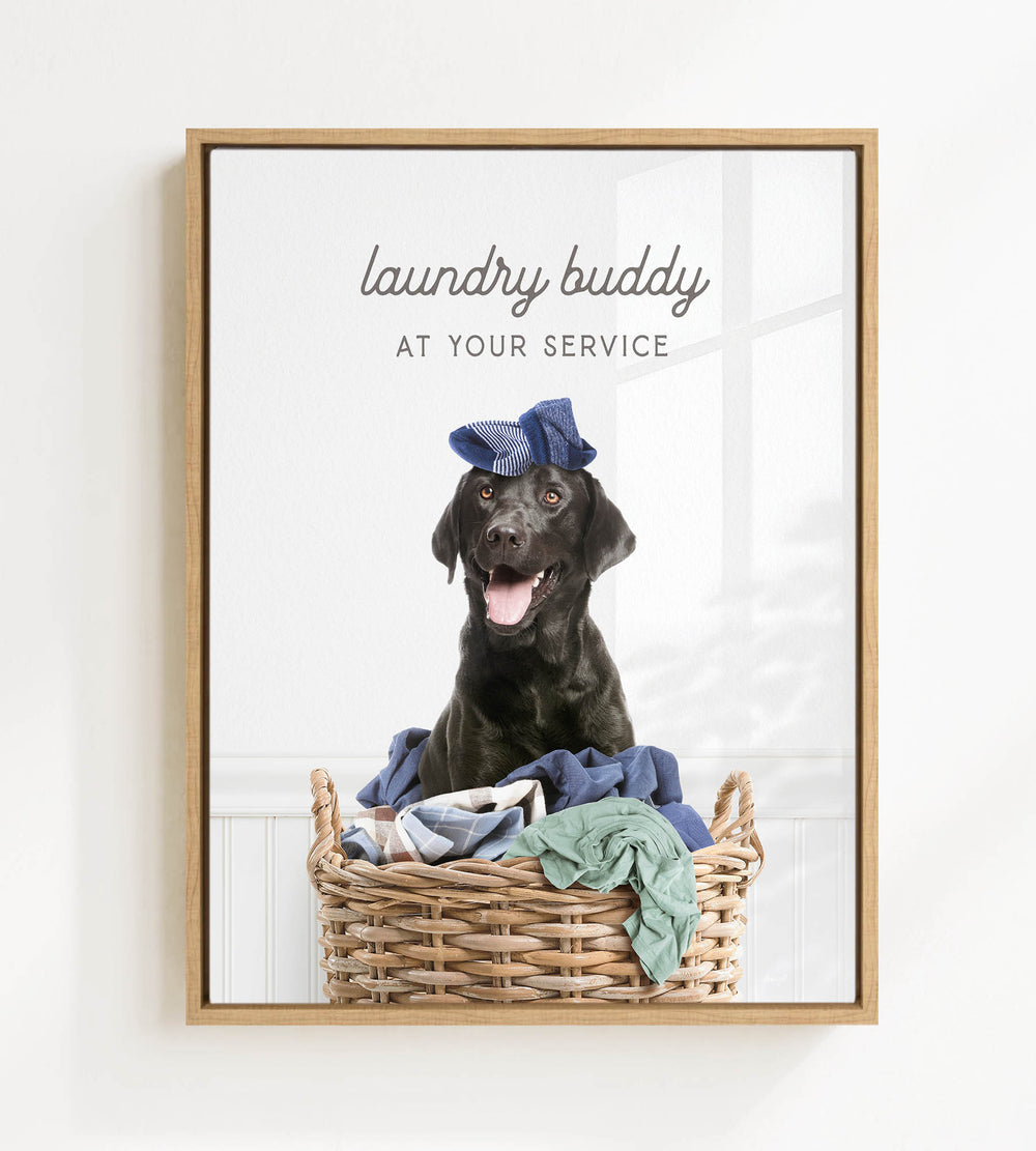 A black dog wearing a blue hat sits in a wicker basket filled with clothes, with the text "laundry buddy at your service" displayed above the image.