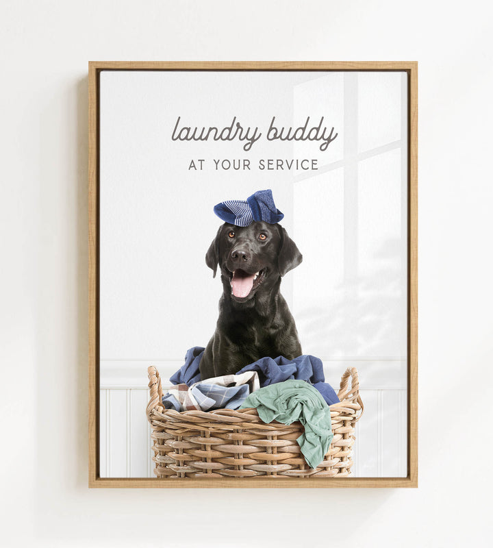 A black dog wearing a blue hat sits in a wicker basket filled with clothes, with the text "laundry buddy at your service" displayed above the image.