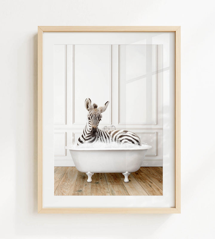 A zebra is sitting in a white bathtub, surrounded by a wooden floor and white walls.
