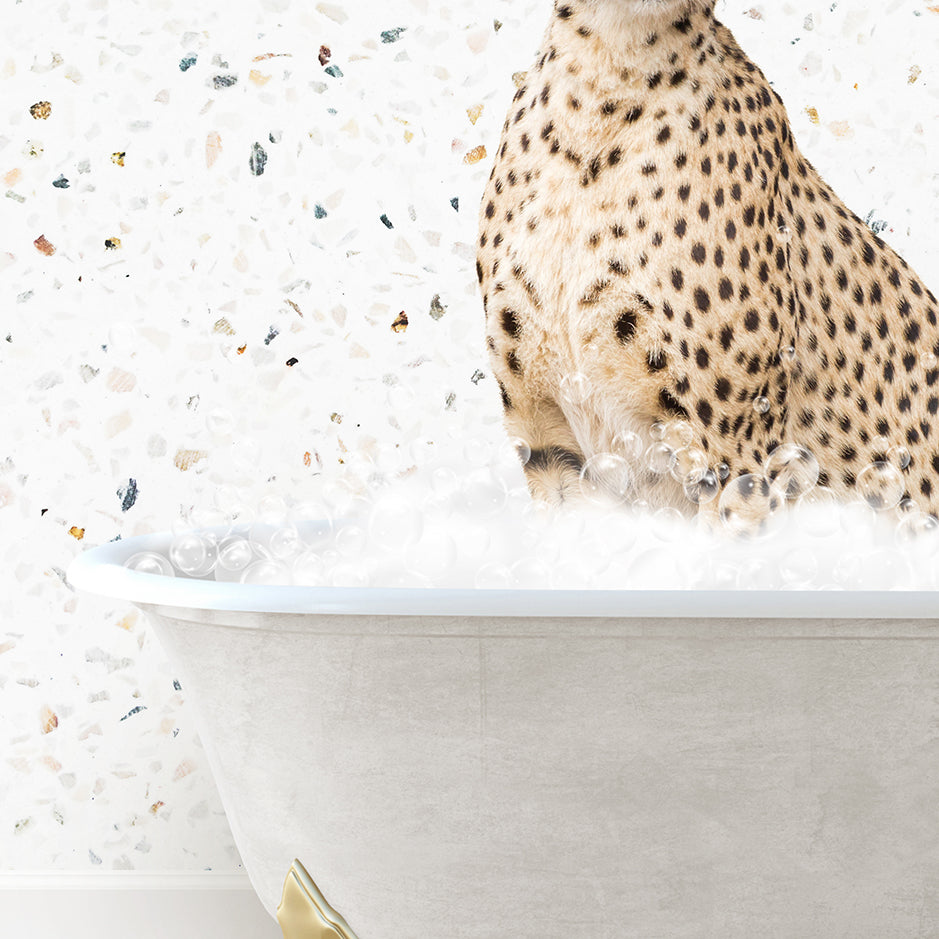 a cheetah sitting in a bathtub full of water