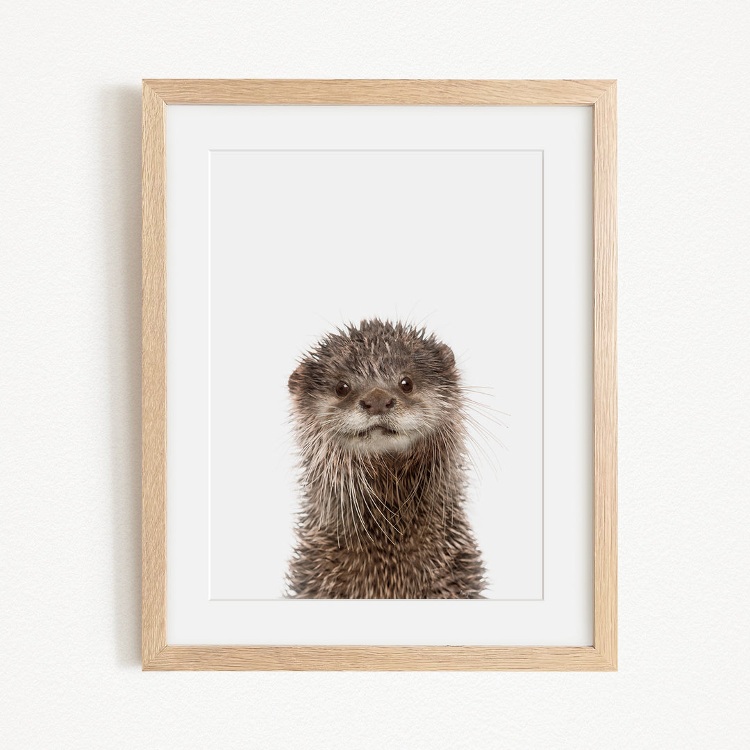 A picture of an otter with a curious expression, captured in a wooden frame.