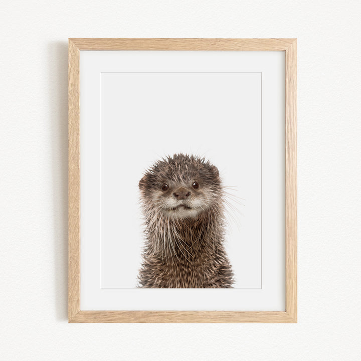 A picture of an otter with a curious expression, captured in a wooden frame.