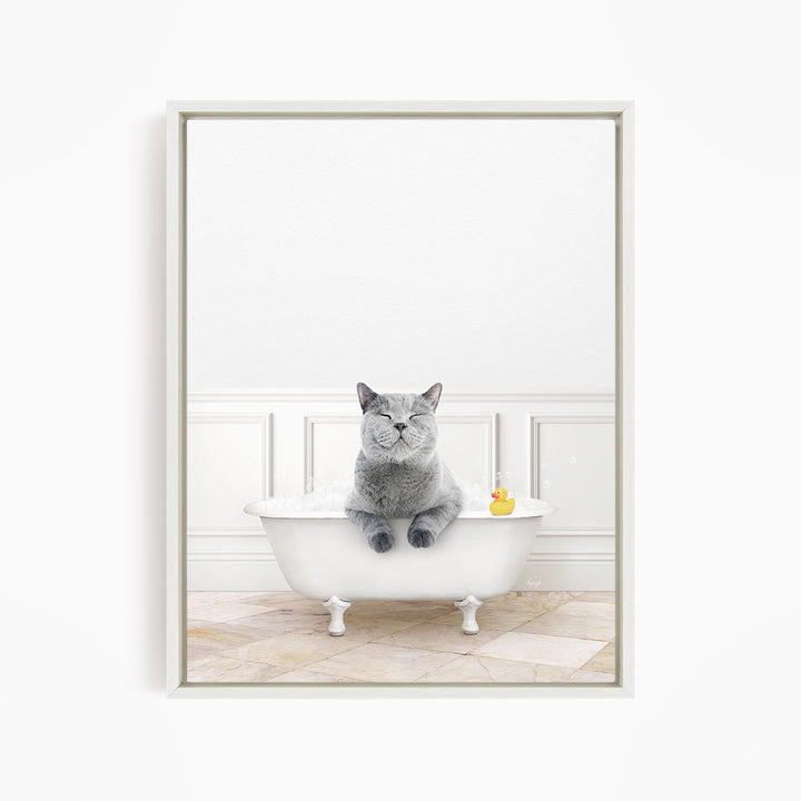 A gray cat sitting in a white bathtub, with a rubber duck floating on the water.