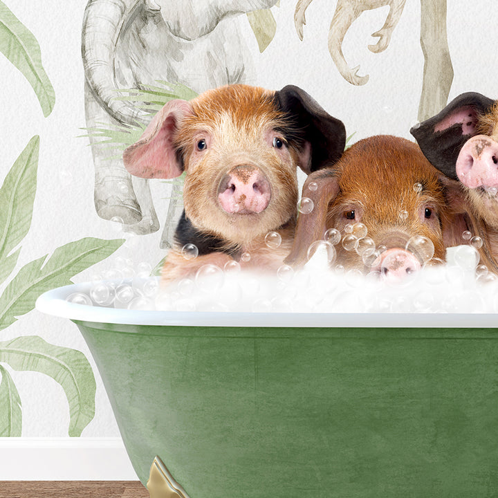 a group of three pigs sitting in a bath tub