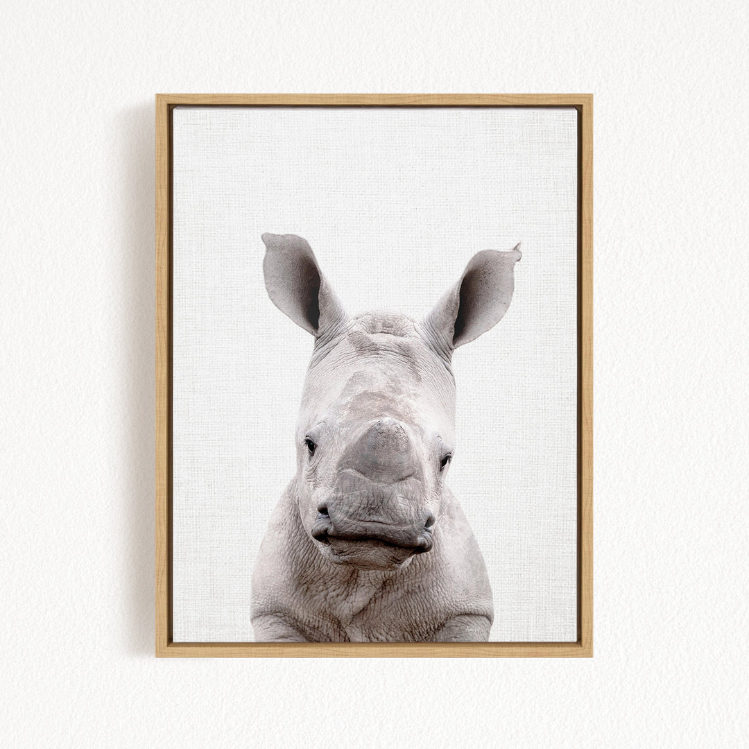 A close-up portrait of a rhinoceros, with its distinctive horn-like features prominently displayed against a plain background.