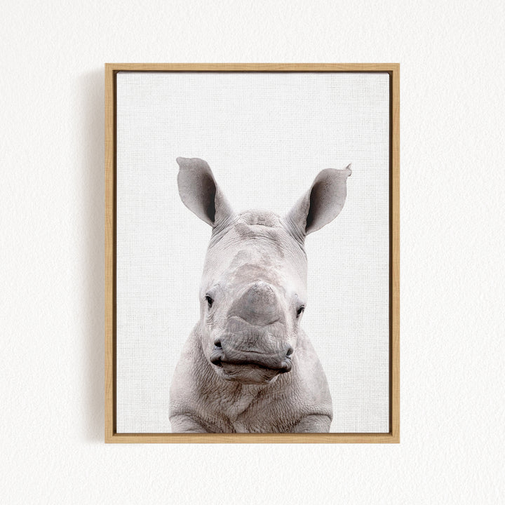 A close-up portrait of a rhinoceros, with its distinctive horn-like features prominently displayed against a plain background.