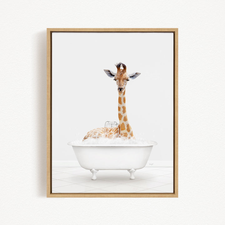 A giraffe sitting in a white bathtub filled with bubbles, looking directly at the camera.