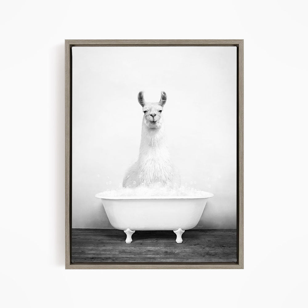 A white llama sitting in a white bathtub filled with water, creating a whimsical and playful scene.