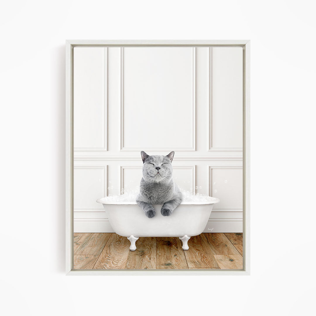 A gray cat sitting in a white bathtub, with a white wall and wooden floor in the background.
