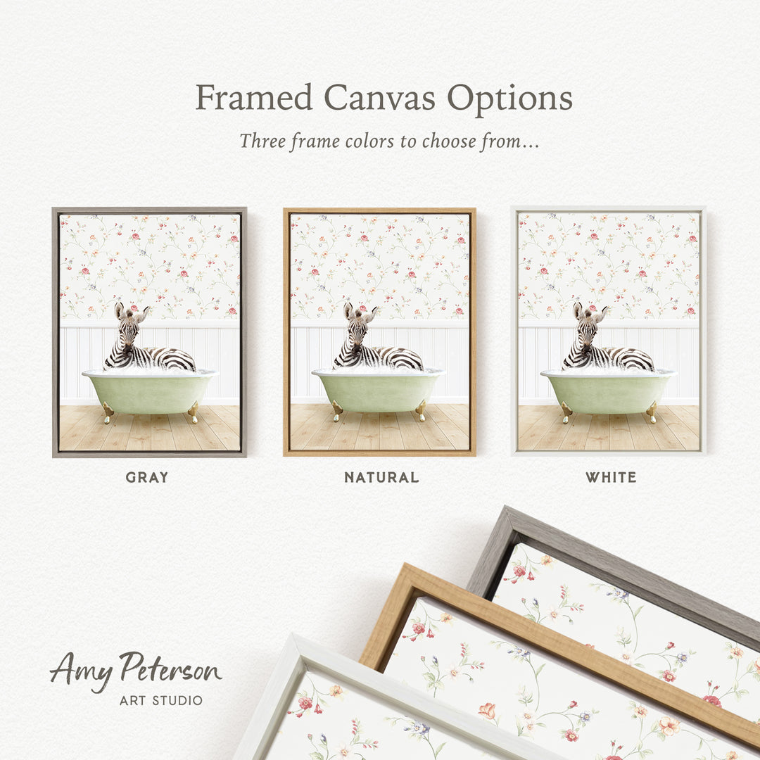 three framed canvas options featuring a zebra sitting in a bathtub, each with a different frame color: gray, natural, and white.