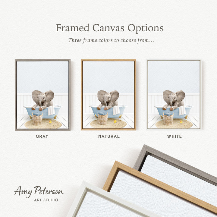 three framed canvas options, each featuring a different color: gray, natural, and white. The text above the images reads " framed Canvas Options" and "Three frame colors to choose from...". The bottom of the image includes the text " Amy Peterson ART STUDIO".