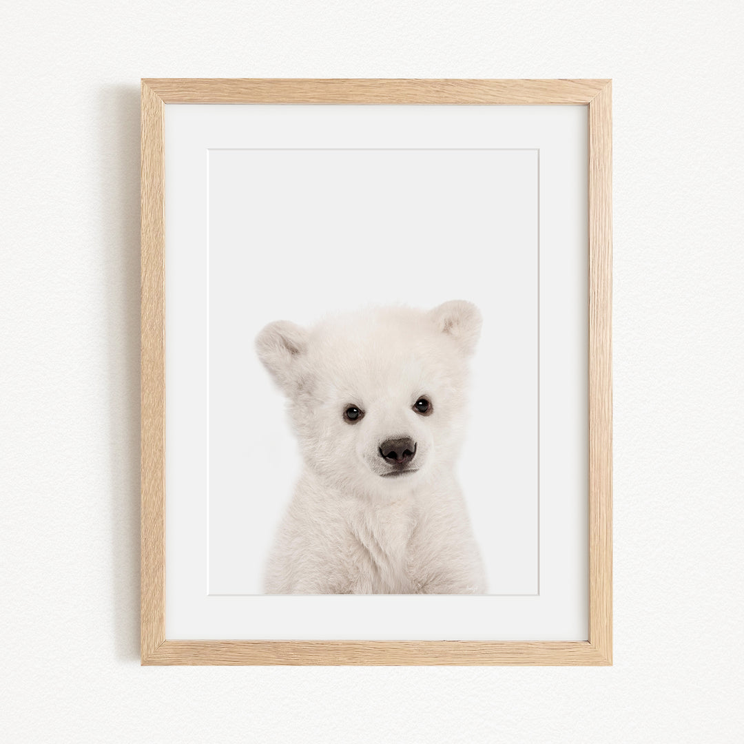 A cute white polar bear cub is the focus of the framed photograph, which is hung on a white wall.
