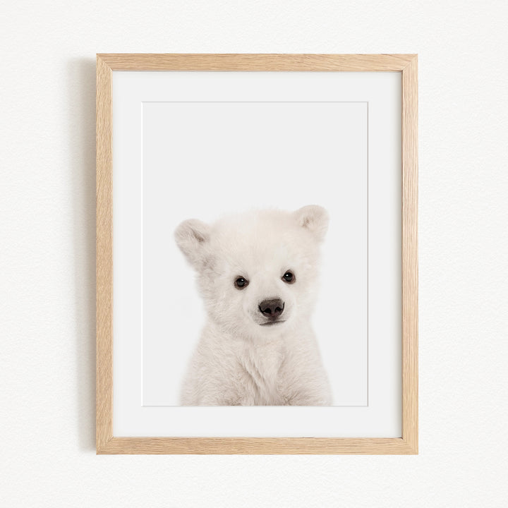 A cute white polar bear cub is the focus of the framed photograph, which is hung on a white wall.