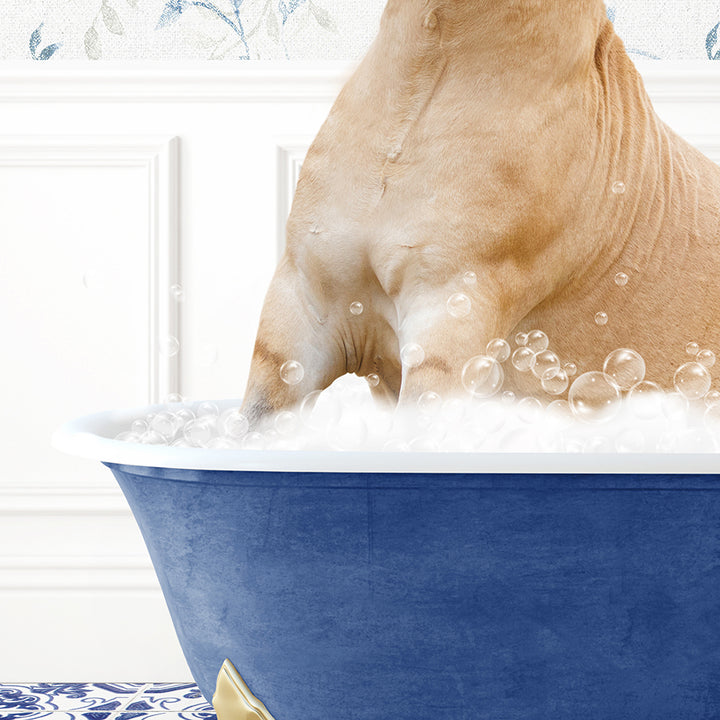 a dog sitting in a bathtub with bubbles