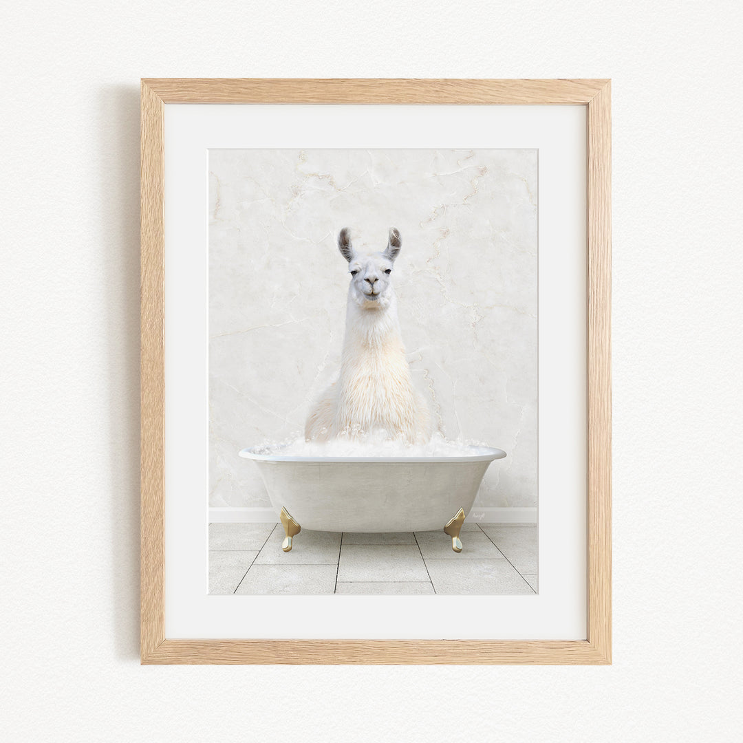 A white llama sitting in a white bathtub filled with bubbles, as depicted in the framed image.
