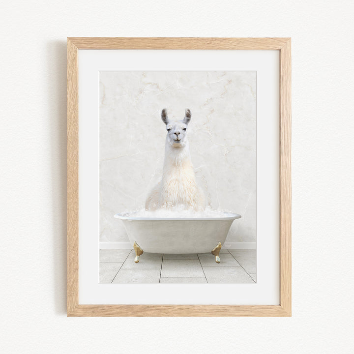 A white llama sitting in a white bathtub filled with bubbles, as depicted in the framed image.