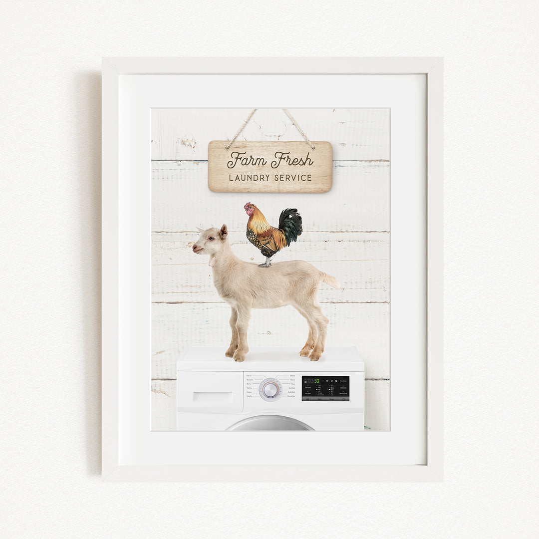 a white washing machine with a goat standing on top of it, and a rooster perched on the machine.
