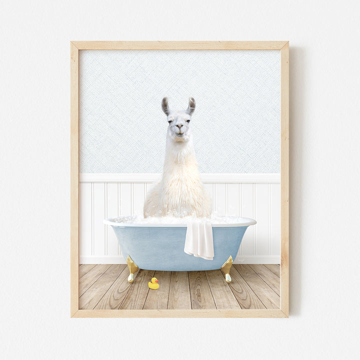 a white llama sitting in a blue bathtub