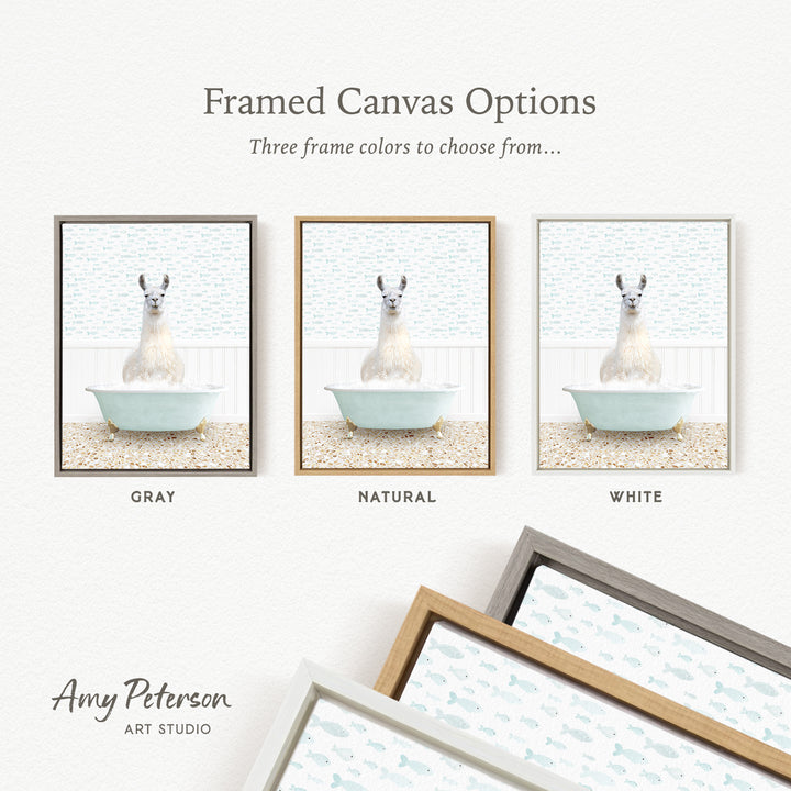 The image is a framed canvas option showcasing three different framed pictures of a llama in a bathtub, each with a different frame color: gray, natural, and white.